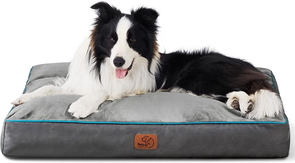 The Benefits of Waterproof Dog Beds for Messy Dogs Every Pet Parent Needs One