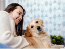 What Kind of Care Does a Dog Need Regularly?