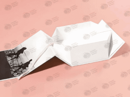Elevate Your Packaging Game with Custom Collapsible Boxes