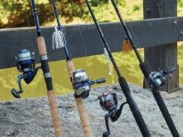 Fishing Rods vs Bass Rods Which Gear Fits Your Freshwater Needs